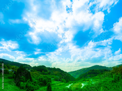 田植えを終えた山間の水田