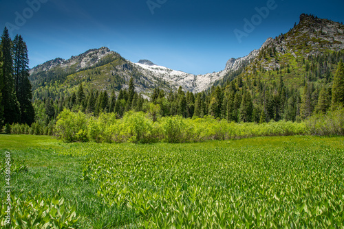 Trinity Alps  California