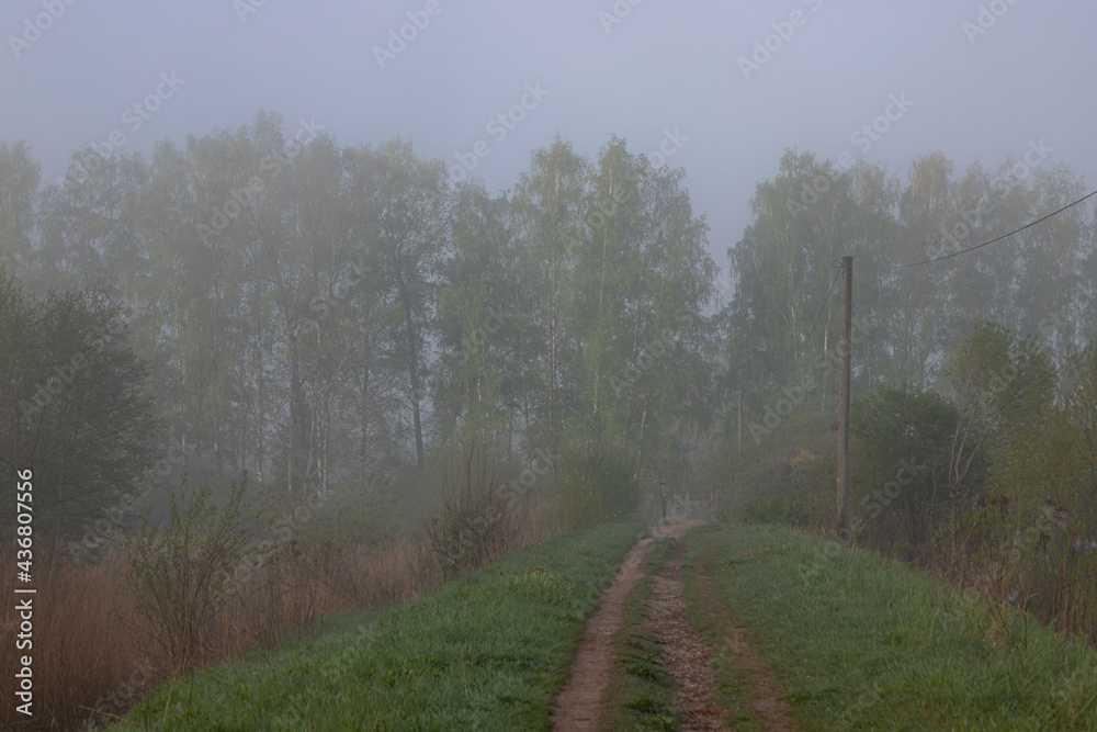 Forest meadow and foot trail at sunrise. Pure morning fog, haze. Tree silhouettes in the background. Atmospheric landscape. Nature, environmental conservation, ecology Forest meadow and foot trail at sunrise. Pure morning fog, haze. Tree silhouettes in the background. Atmospheric landscape. Nature, environmental conservation, ecology