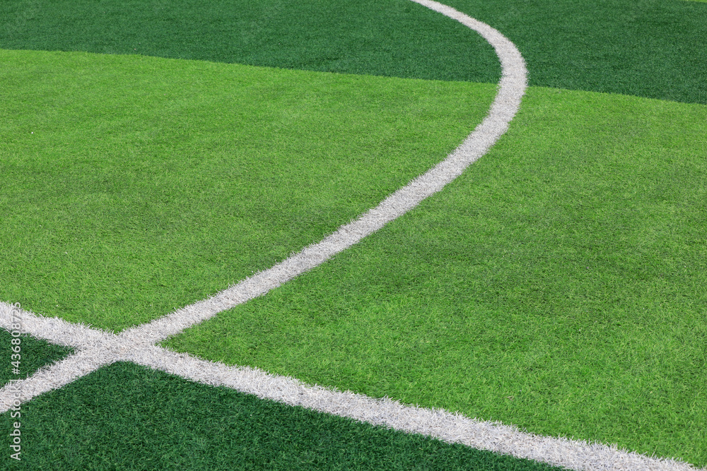 The white line is on the green lawn The white line is on the green lawn