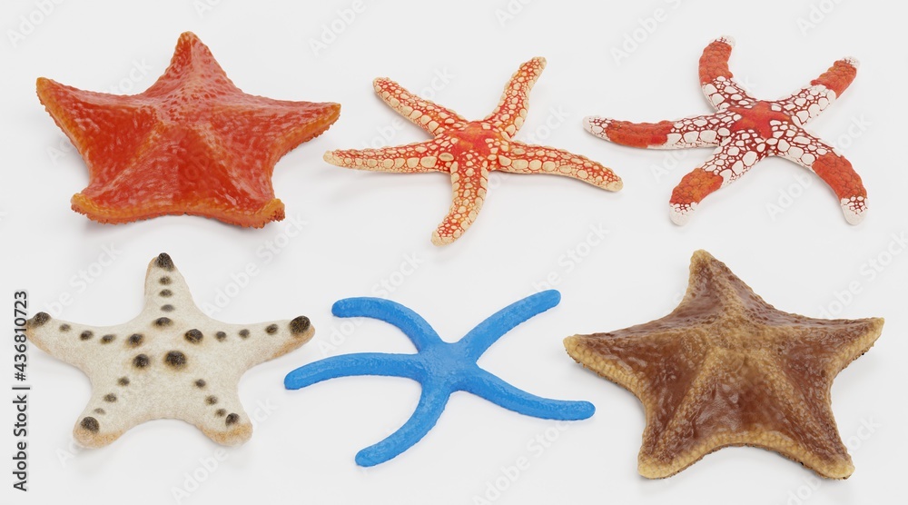Realistic 3D Render of Starfish Collection Realistic 3D Render of Starfish Collection