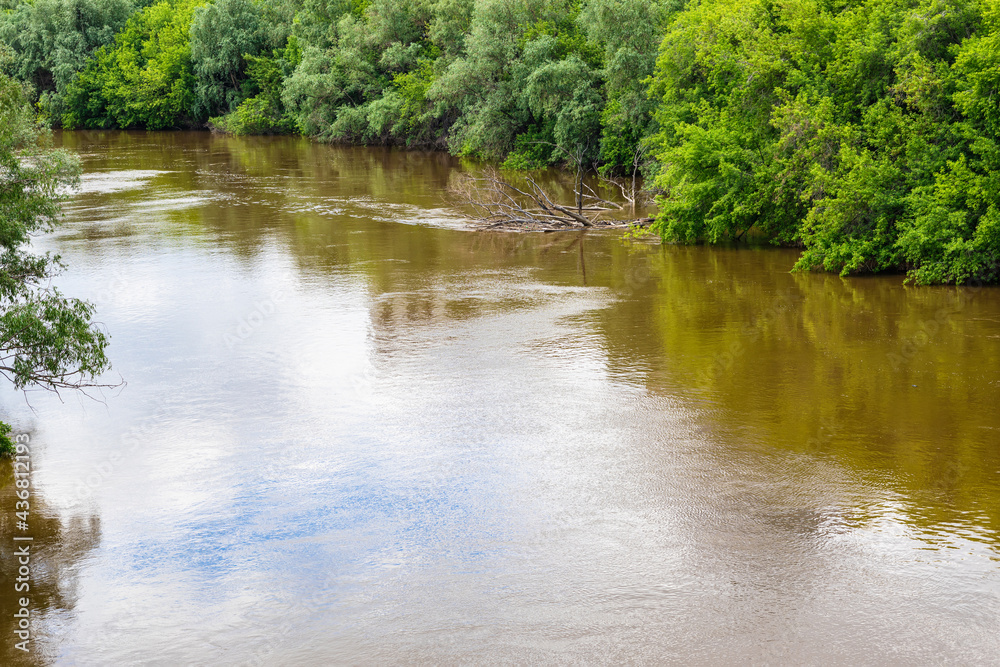 The Om River in Siberia flooded the trees on the bank in the spring. Beautiful natural background. The Om River in Siberia flooded the trees on the bank in the spring. Beautiful natural background.