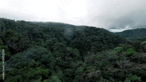 DJI FPV racing the forests of Costa Rica.  photo