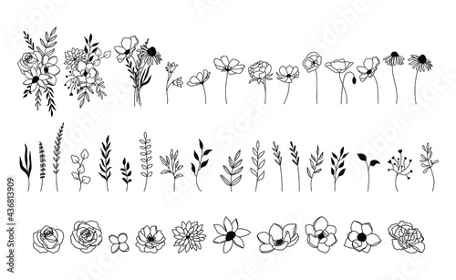 Fotografia, Obraz Wildflower vector set, floral collection, botanical elements