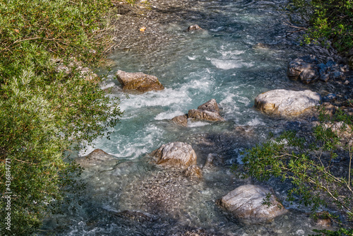 Flowing river water along rocks in between green wild plants in Austria