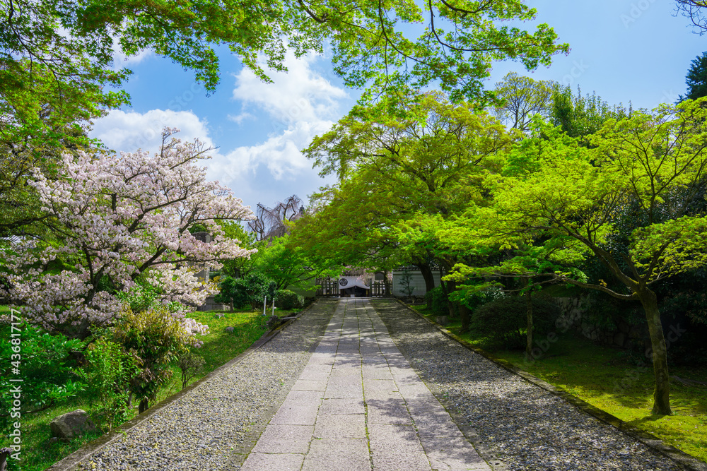 京都　養源院の参道