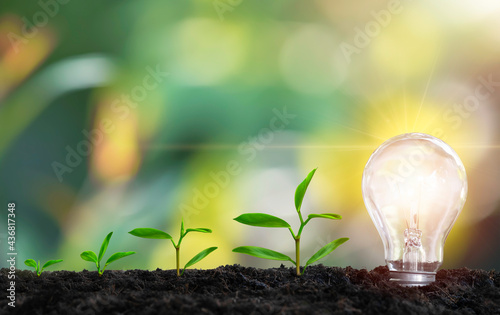 saving Energy light bulb with light and tree growing on stacks on nature background. Saving, accounting and financial concept. technology for saving electric power and energy use ecology idea concept 