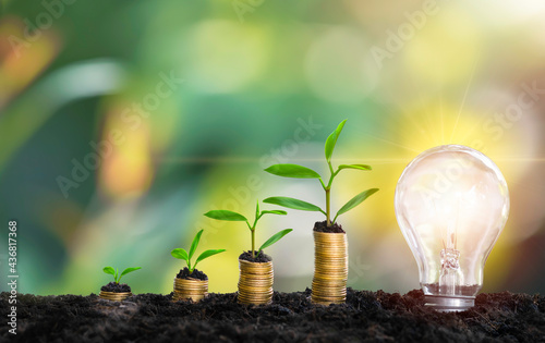 saving Energy light bulb with light and tree growing on stacks on nature background. Saving, accounting and financial concept. technology for saving electric power and energy use ecology idea concept 