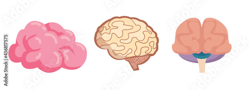 brain vector clip art set. brain vector clip art set. brain vector clip art set.