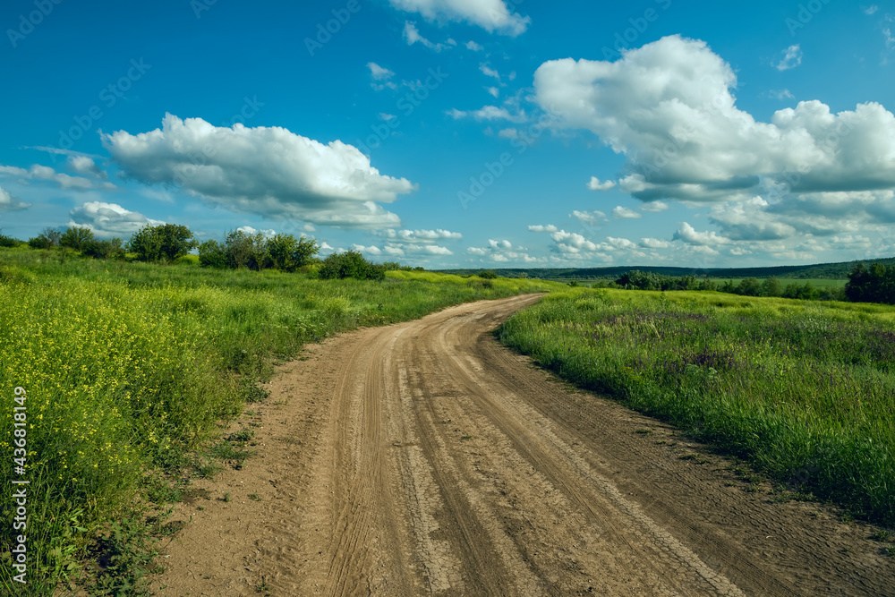 dirt road among green fields on a spring sunny day.