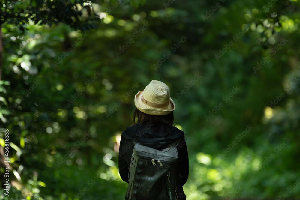 散歩中 散歩中