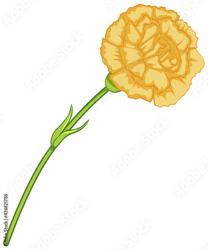 Yellow carnation flower in cartoon style isolated
