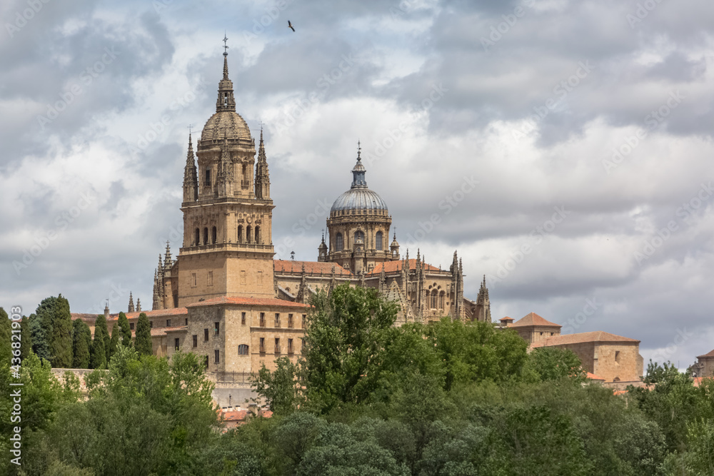 Majestic view at the gothic building at the Salamanca cathedral tower cupola dome and University of Salamanca tower cupola dome