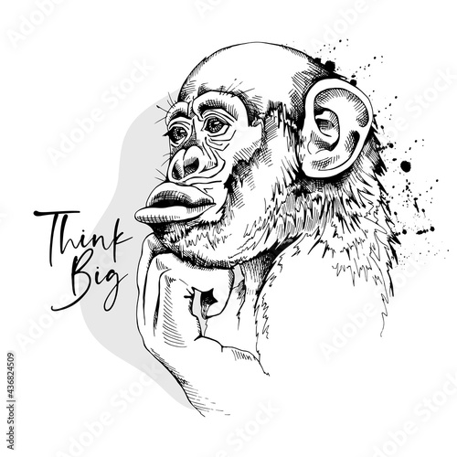 Portrait of a Funny Monkey. Think big - lettering quote. Humor card, t-shirt composition, hand drawn style print. Vector black and white illustration.