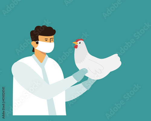Doctor in medical mask hold chicken in his hands