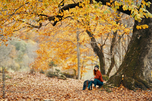 woman model in sweater and jeans and boots sits on the ground near a tree in the park fallen leaves forest