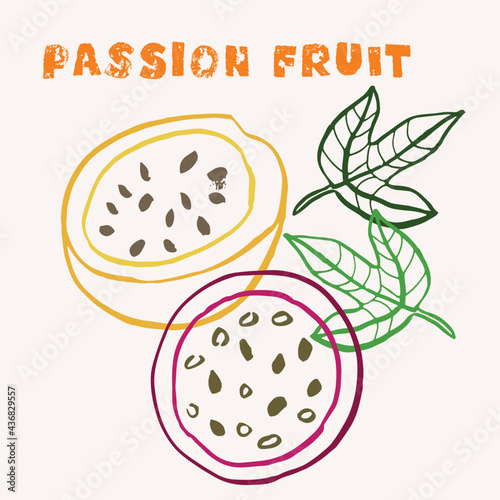 Passion fruit line art hand-drawn multicolor modern vector illustration. Colorful line art exotic fruit design.