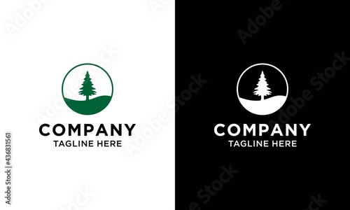 circle pine evergreen fir hemlock spruce conifer cedar Christmas tree Logo design vector template on a black and white background.