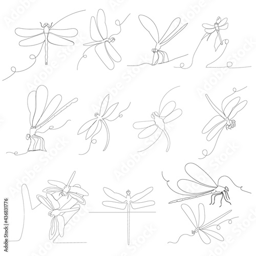 set, dragonfly continuous line drawing, vector