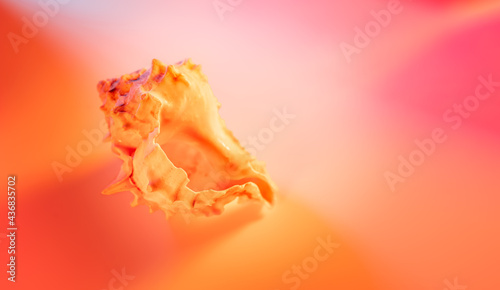 Seashell on abstract spectrum neon background. Summer trendy colorful concept.