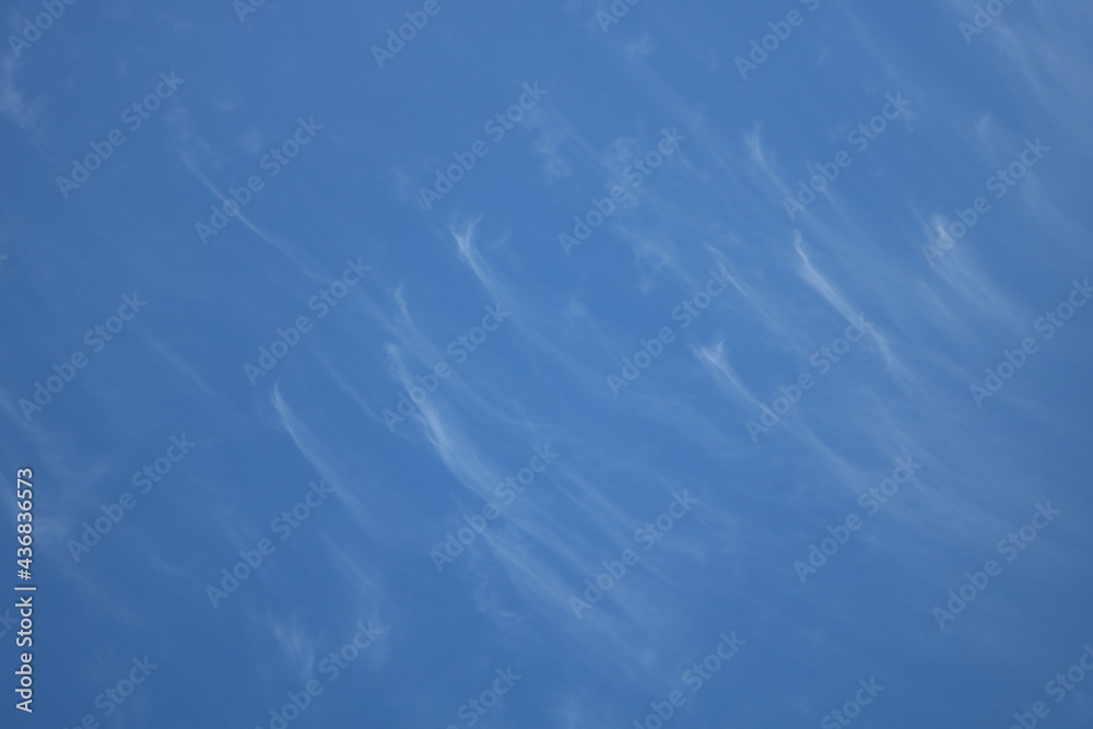 Obraz premium white fluffy clouds on blue sky in summer 