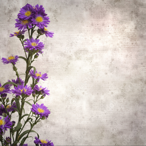 square stylish old textured paper background with small purple aster flowers