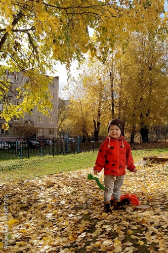 the child plays plays walks in nature autumn