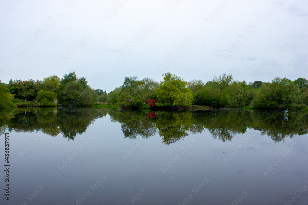 reflections reflections