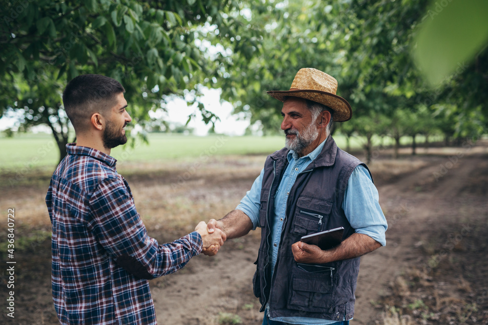 ranchers handshake in walnut orchard ranchers handshake in walnut orchard