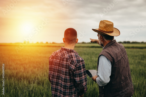 workers talking in wheat field