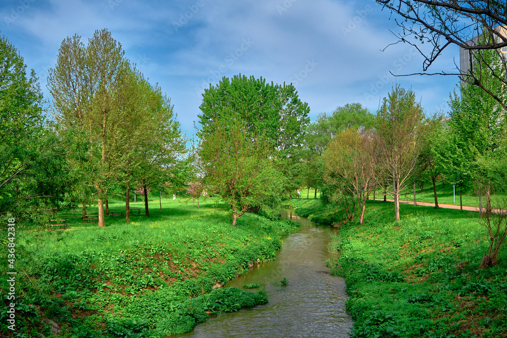 Natural public park in Bursa with green grass and poplar trees and small river in middle of the park with blue sky background.