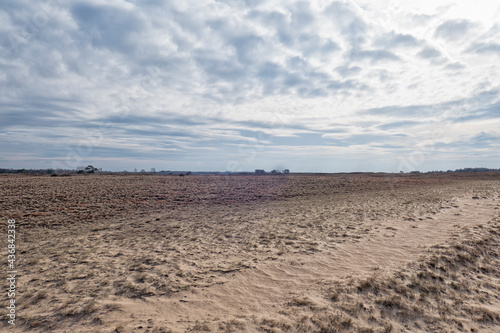 Kootwijker sands Veluwe