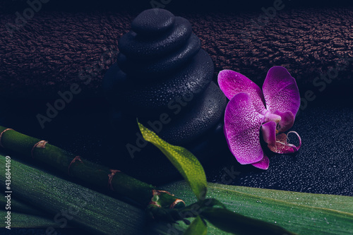 Photography Closeup shot of zen rocks and a pink orchid flower at a spa