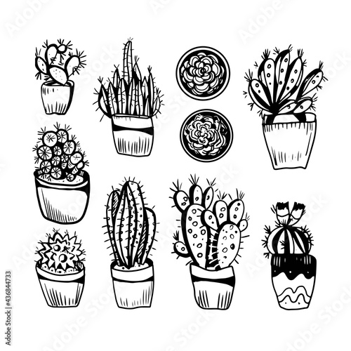 Cacti scandinavian style graphic vector illustration hand drawn doodle sketch set patern seamless. print textiles paper nature indoor plants in pots mexico exotic succulents. Boho hugo vintage