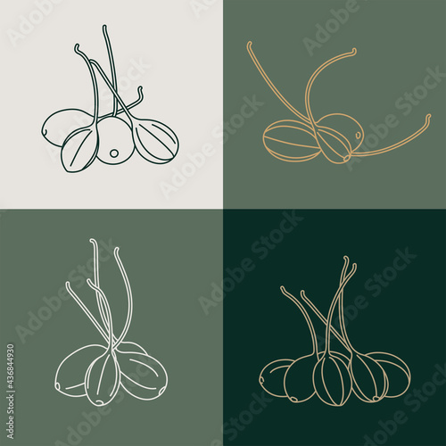Vector set illustration pickled capers - simple linear style. Caperberries icons.