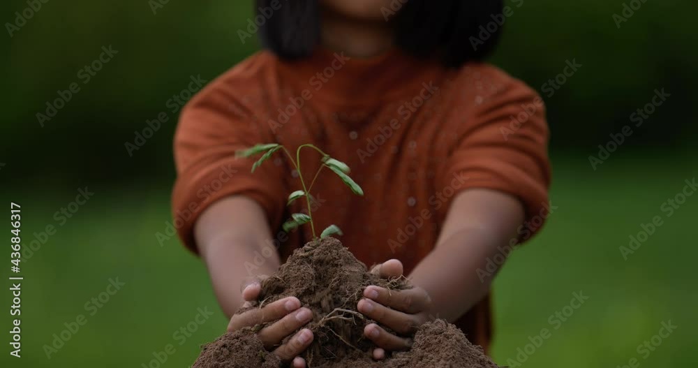 Girl planting young tree