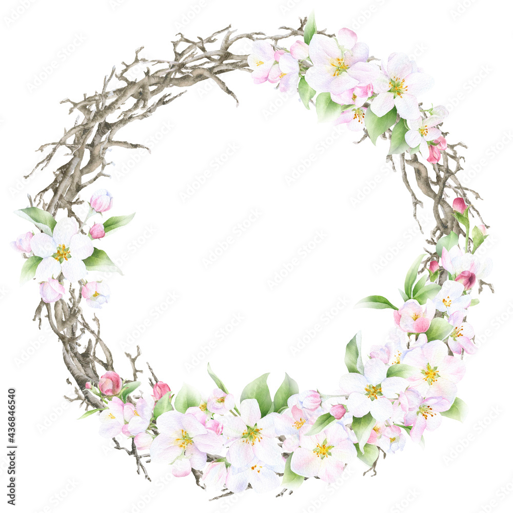 Floral spring wreath with pink apple flowers, dry branches and green leaves hand drawn in watercolor isolated on a white background. Watercolor illustration. Floral watercolor wreath	
