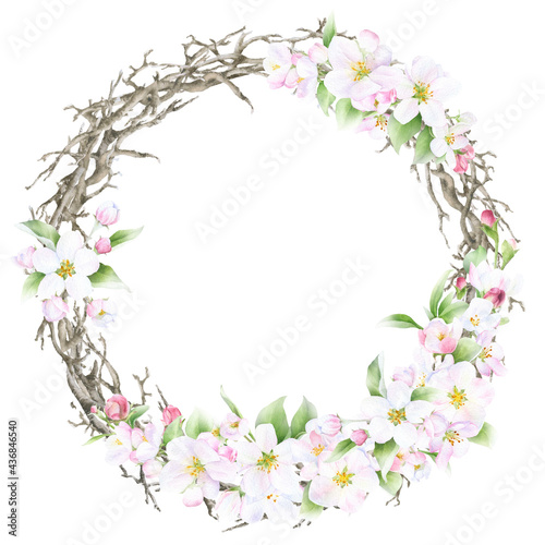 Floral spring wreath with pink apple flowers, dry branches and green leaves hand drawn in watercolor isolated on a white background. Watercolor illustration. Floral watercolor wreath 