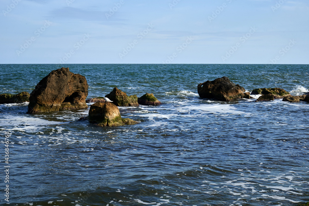 Seascape with rocky coast in summer on a sunny day