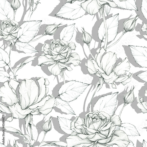 Beautiful hand drawing roses. Romantic background. Seamless pattern. Floral illustration.