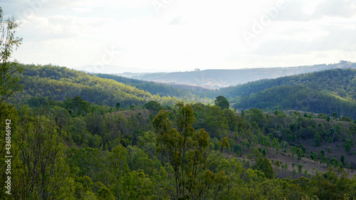 Wallpaper Mural Landscape view from the top of a hill, Kooralbyn Torontodigital.ca