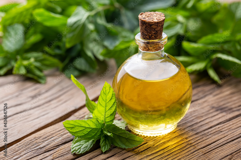 Glass bottle of peppermint essential oil with fresh green mint leaves, mint oil Glass bottle of peppermint essential oil with fresh green mint leaves, mint oil