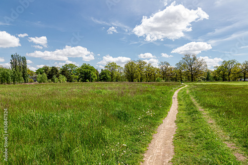 Lane in meadow and deep blue sky. Nature design.