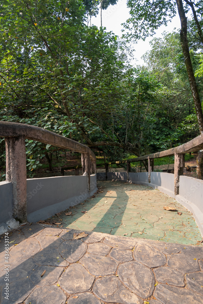 wooden bridge in the park