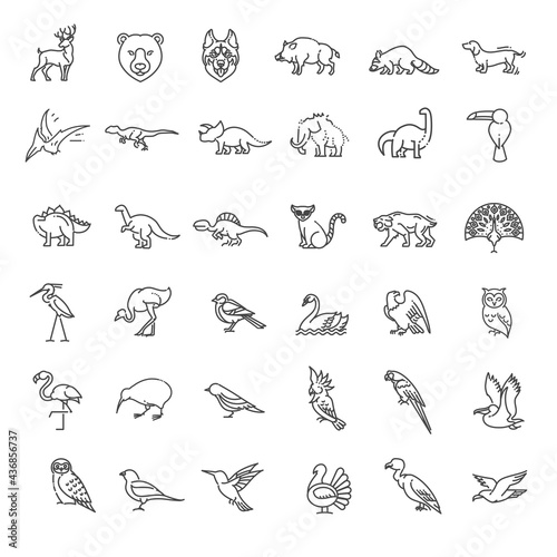 Fototapeta Naklejka Na Ścianę i Meble -  Line animals concepts. Vector thin Icons set