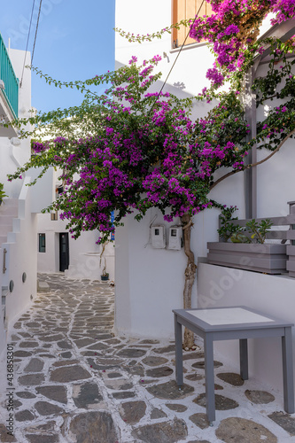 Traditional Cycladitic alley with a  narrow street  whitewashed facade of a house and a blooming bougainvillea in Naousa  Paros island  Greece.