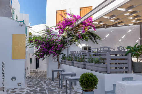 Traditional Cycladitic alley with a narrow street, whitewashed facade of a house and a blooming bougainvillea in Naousa Paros island, Greece.