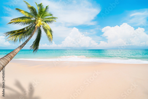 Fototapeta Naklejka Na Ścianę i Meble -  Palm tree on tropical beach with blue sky and white clouds abstract background. Copy space of summer vacation and business travel concept.