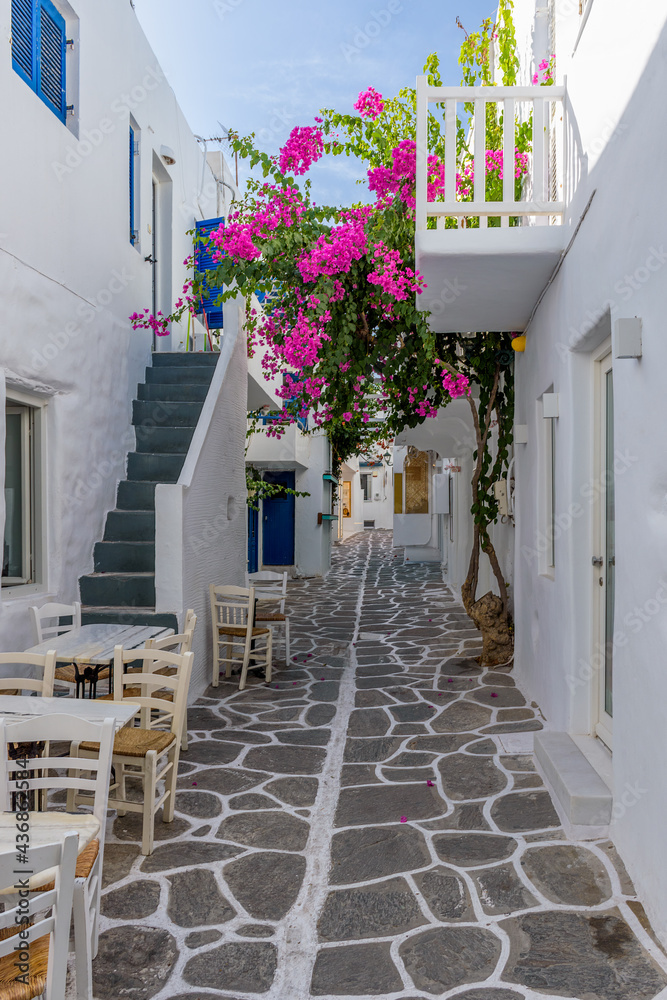 Fototapeta premium Traditional Cycladitic alley with a narrow street, whitewashed facade of a house and a blooming bougainvillea in Naousa Paros island, Greece.