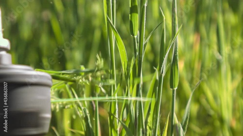 1000fps ultra slow motion close-up footage of a line trimmer cutting down long green grass; landscaper theme